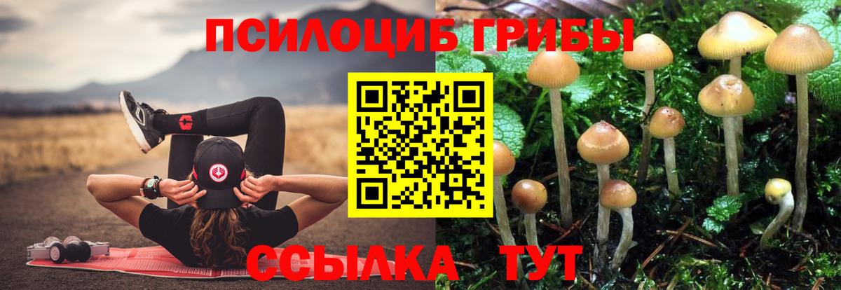 Галлюциногенные грибы мухоморы Корсаков